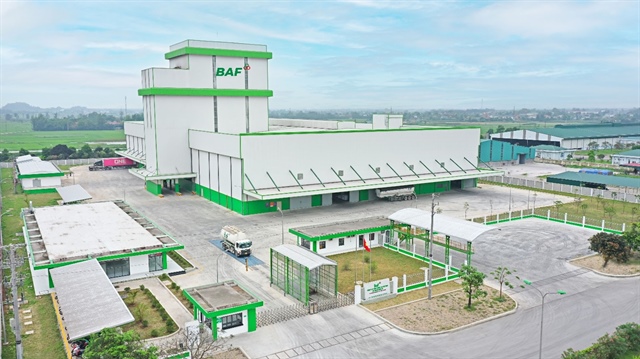 BAF: Tăng tốc chuẩn hóa, mở đường cho đột phá lợi nhuận 2026